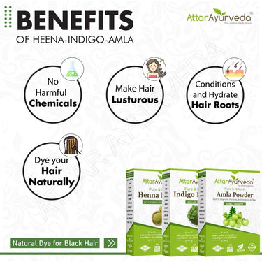 Attar Ayurveda Henna Leaves Powder, Indigo Leaves powder and Amla Powder Combo (650 Grams)